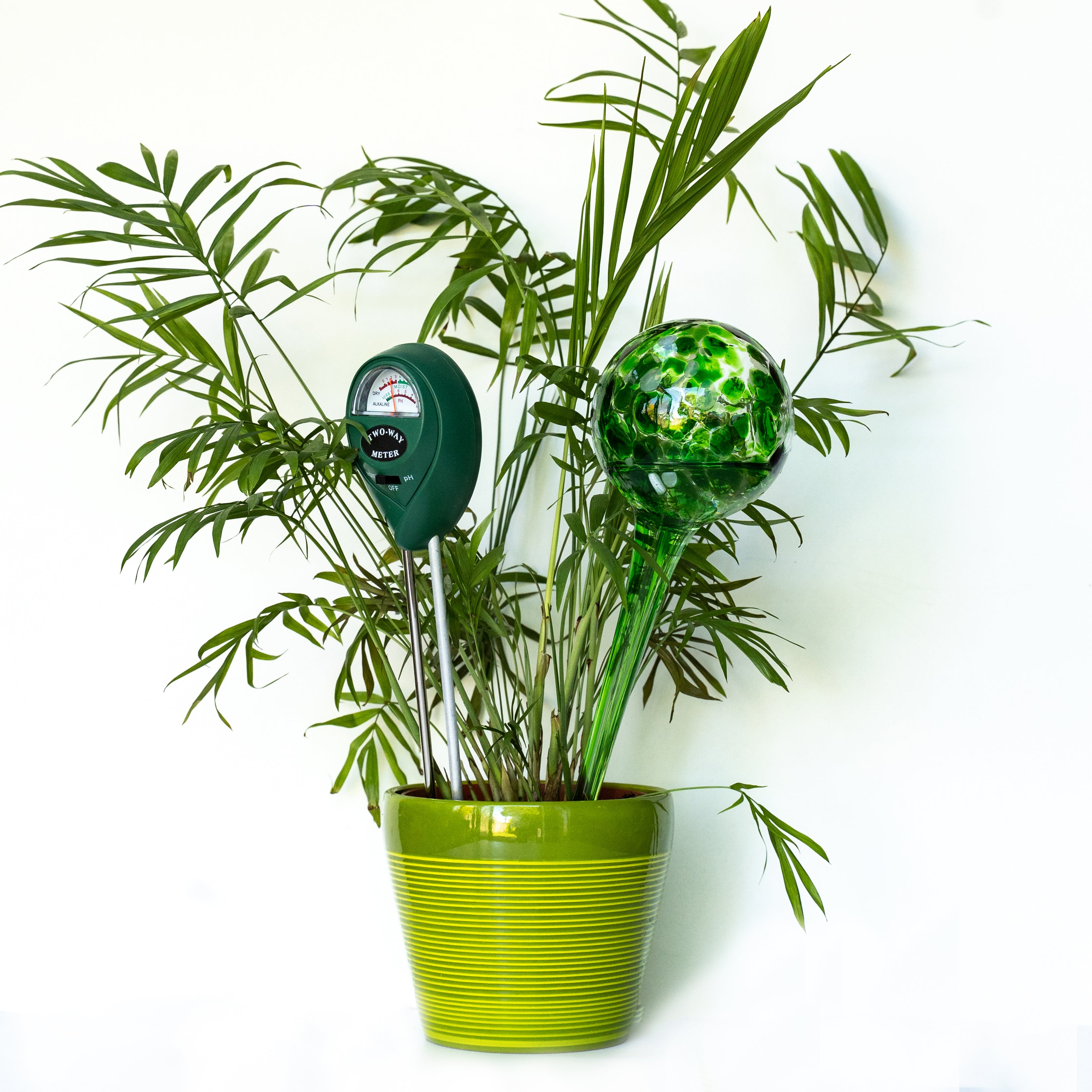 large plant watering globes Hand Blown Glass Watering Globes