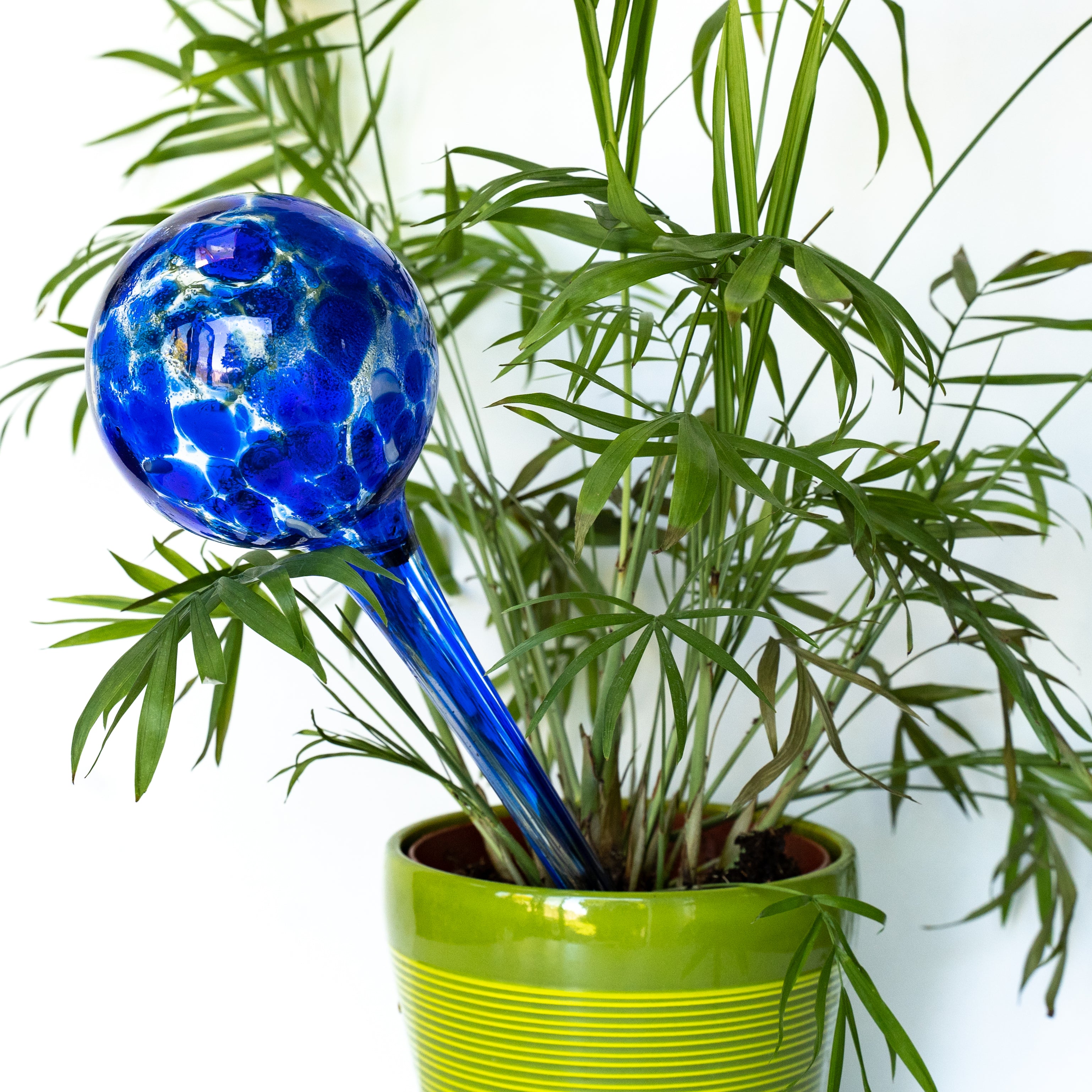 Hand Blown Glass Watering Globes - 4 large